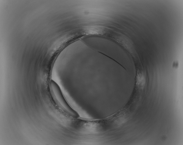 X0000111800444200908131440