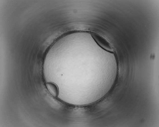X0000111800445200908131440