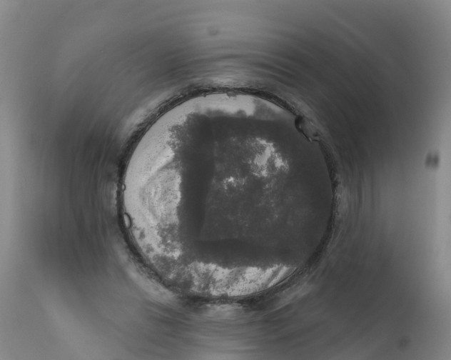 X0000111800446200908131440