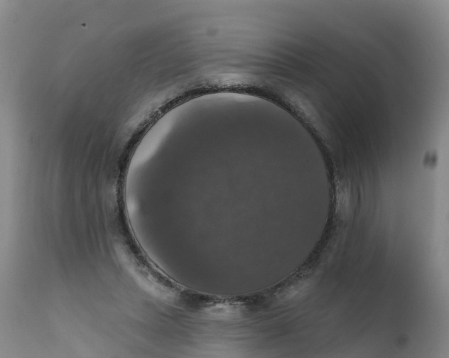 X0000111800447200908131440