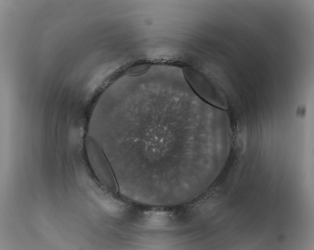 X0000111800448200908131440