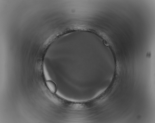 X0000111800449200908131440