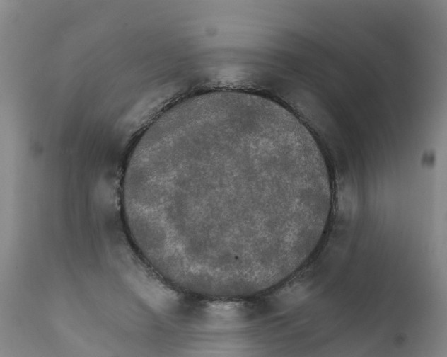 X0000111800450200908131440