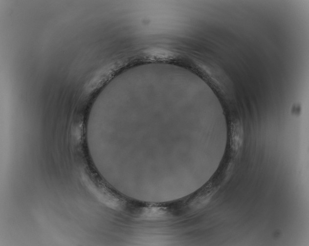 X0000111800451200908131440