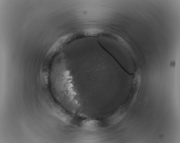 X0000111800452200908131440