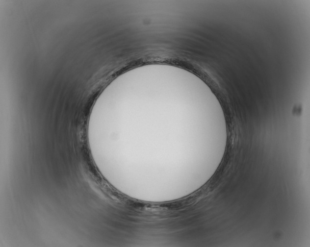 X0000111800455200908131440
