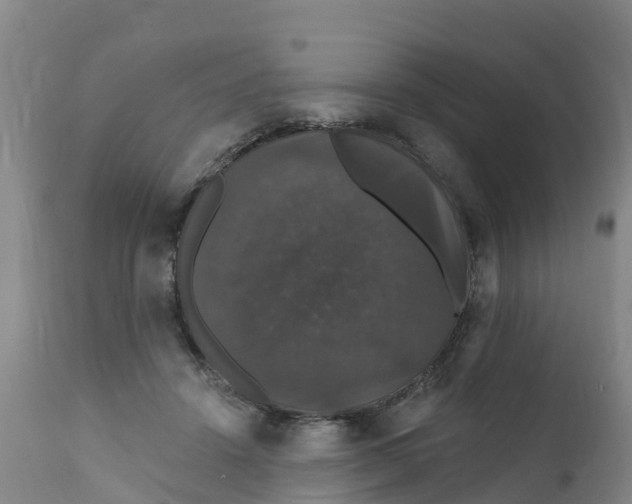 X0000111800456200908131440