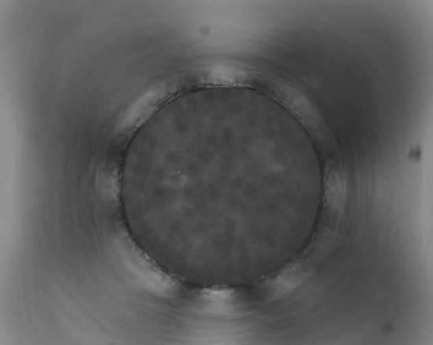 X0000111800457200908131440