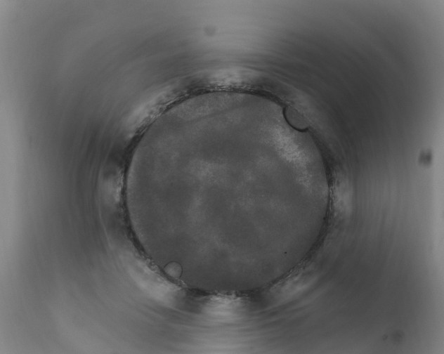 X0000111800458200908131440