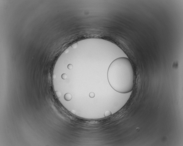 X0000111800459200908131440