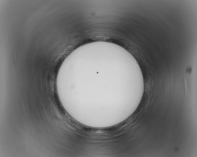 X0000111800460200908131440