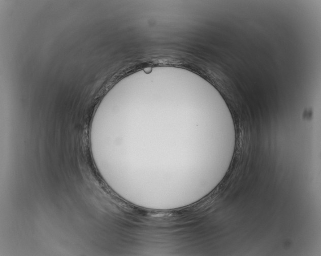 X0000111800461200908131440