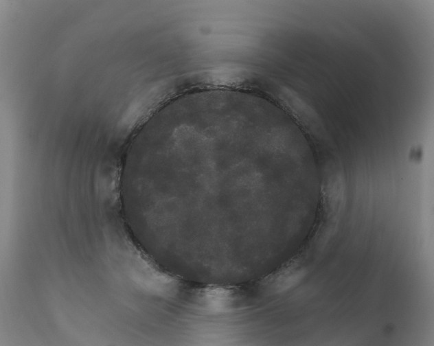 X0000111800462200908131440