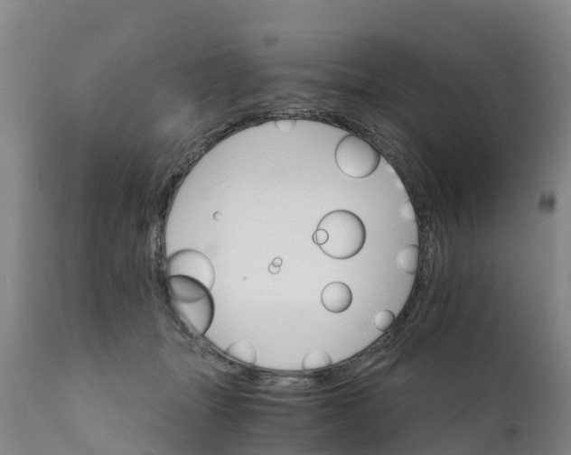 X0000111800463200908131440
