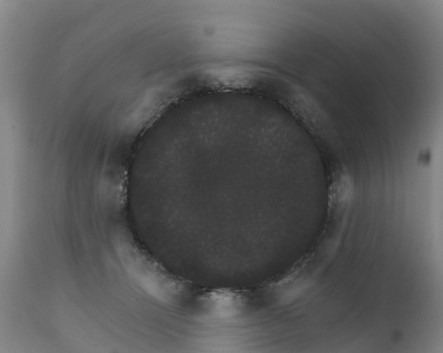 X0000111800464200908131440