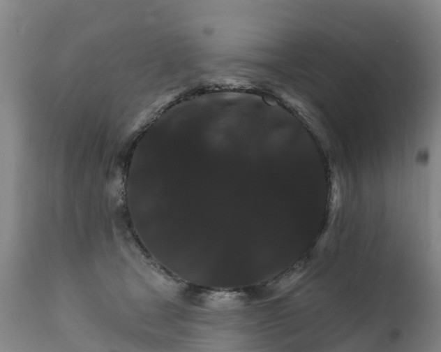 X0000111800465200908131440