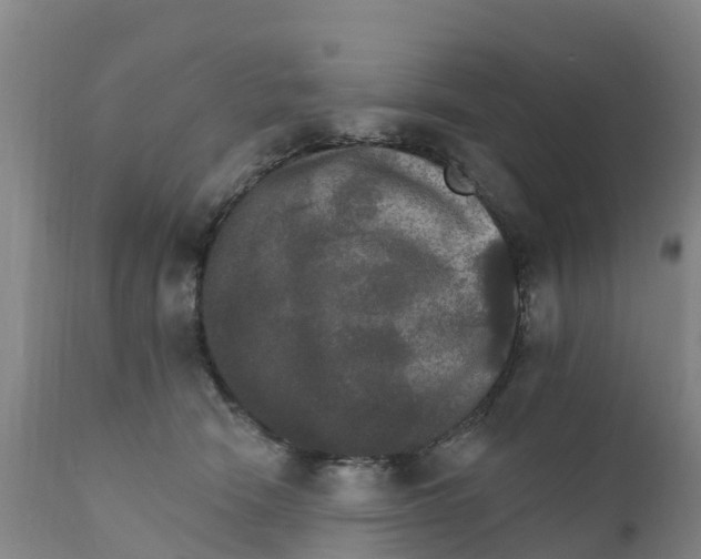 X0000111800466200908131440