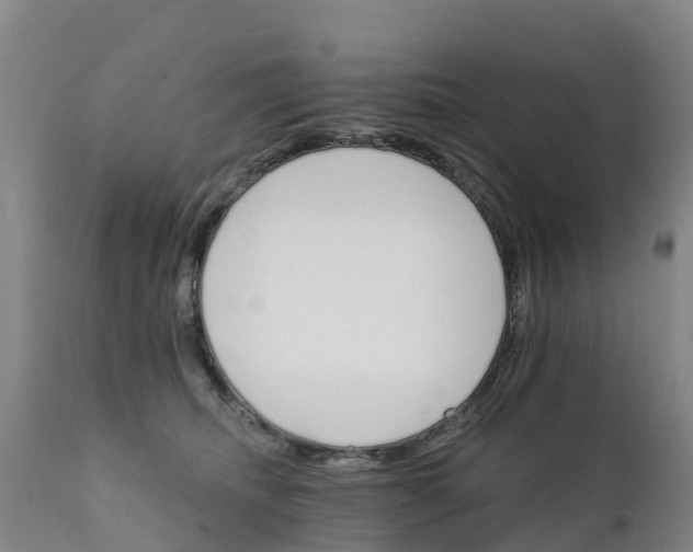 X0000111800468200908131440