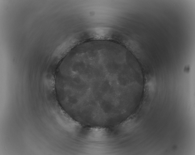 X0000111800469200908131440