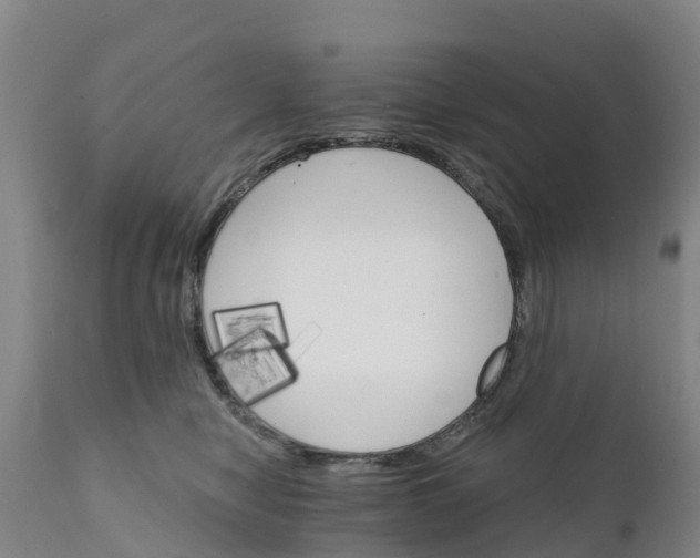 X0000111800470200908131440