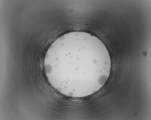 X0000111800471200908131440