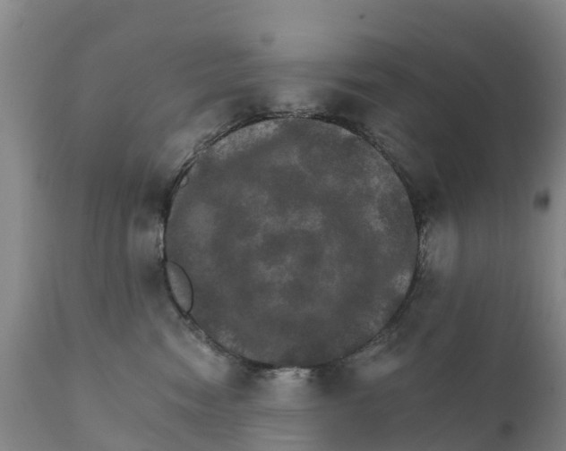 X0000111800474200908131440