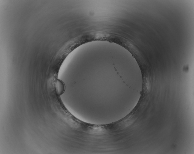 X0000111800475200908131440