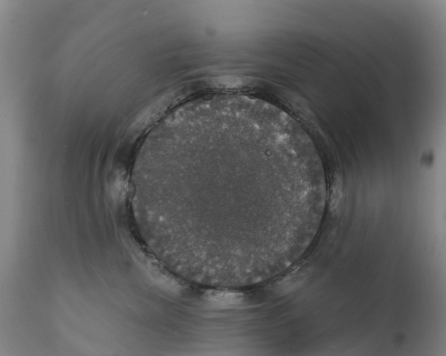 X0000111800476200908131440