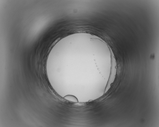 X0000111800477200908131440