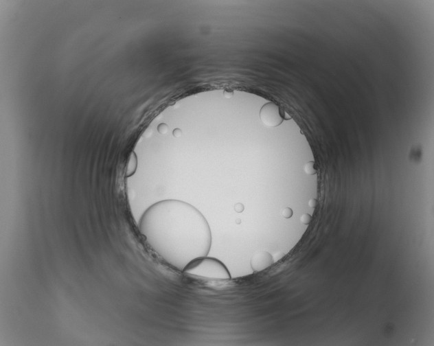 X0000111800478200908131440