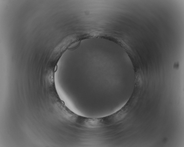X0000111800479200908131440