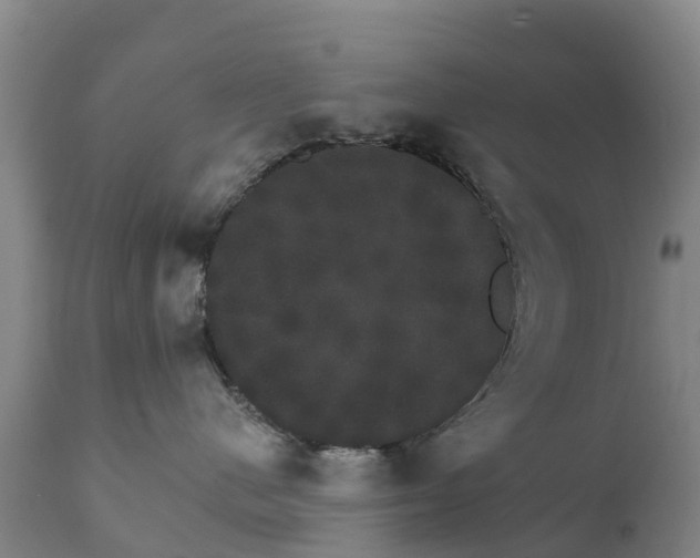 X0000111800480200908131440