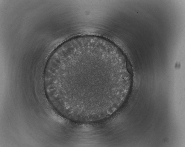 X0000111800481200908131440