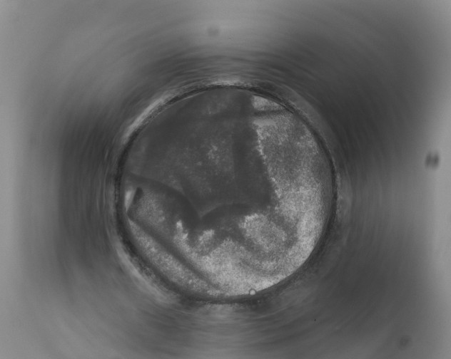 X0000111800482200908131439