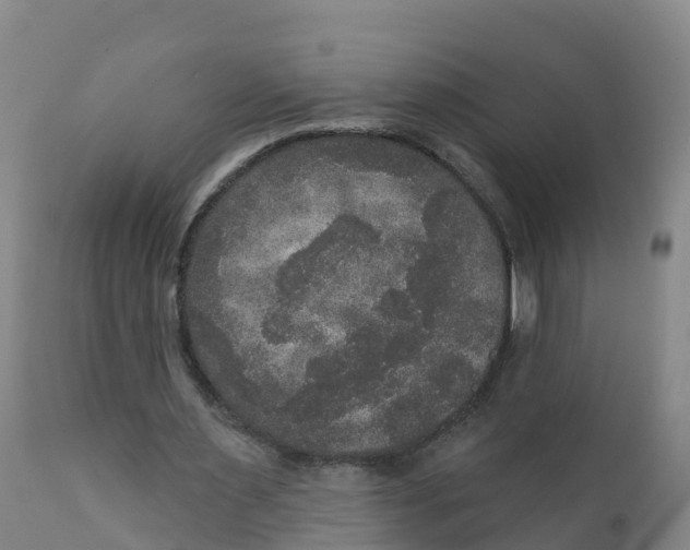 X0000111800483200908131439