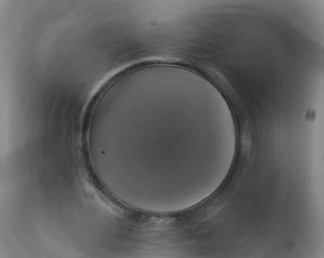 X0000111800484200908131439