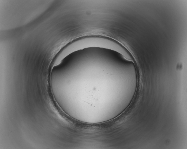 X0000111800485200908131439