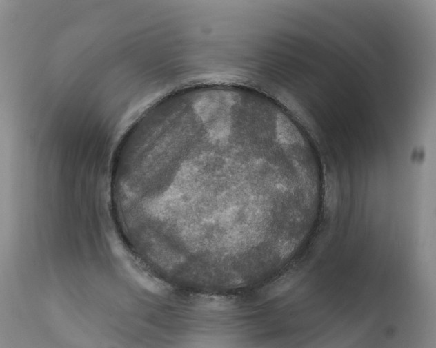 X0000111800486200908131439