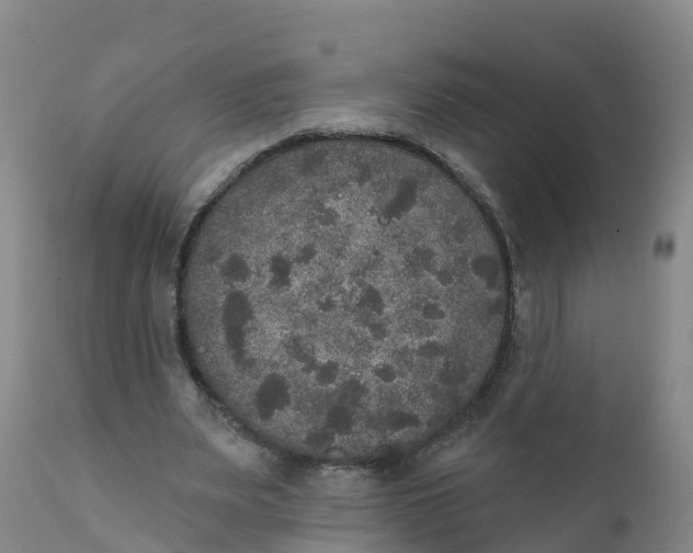 X0000111800487200908131439