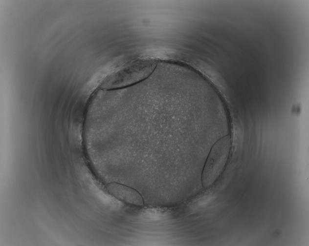 X0000111800489200908131439