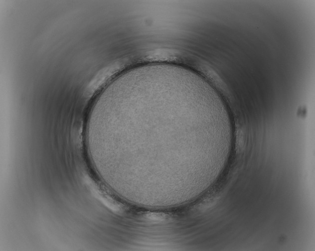 X0000111800490200908131439