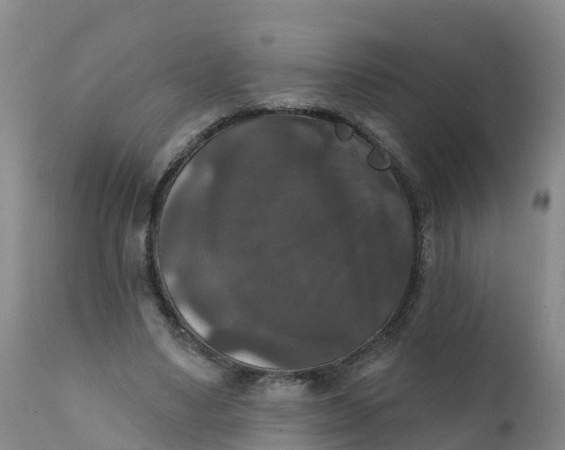 X0000111800491200908131439