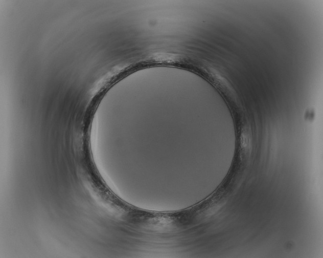 X0000111800492200908131439