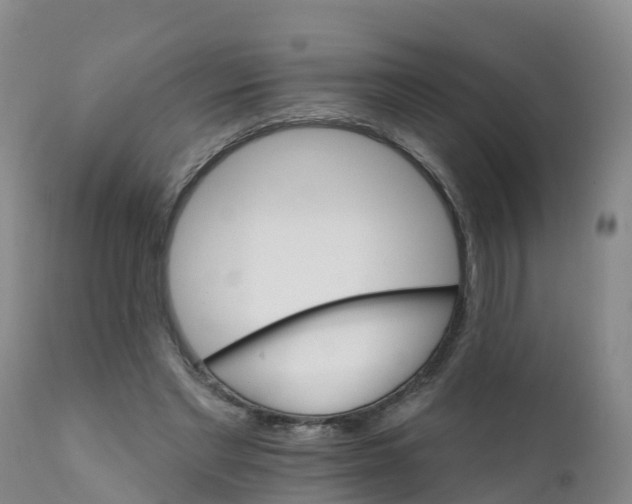 X0000111800493200908131439