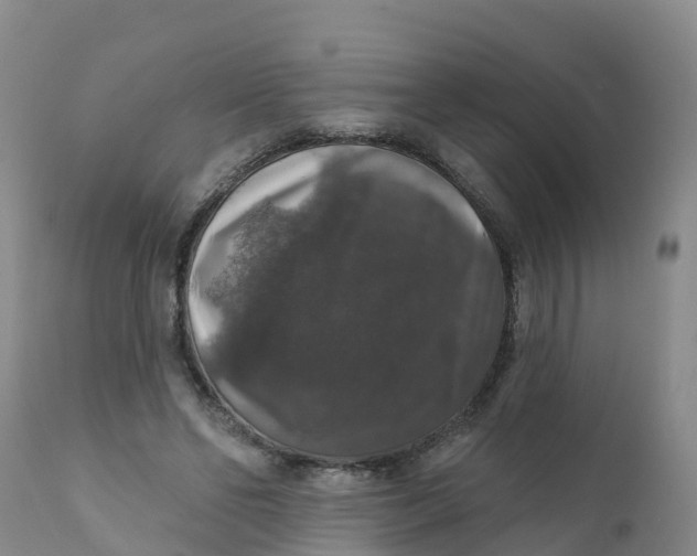 X0000111800494200908131439
