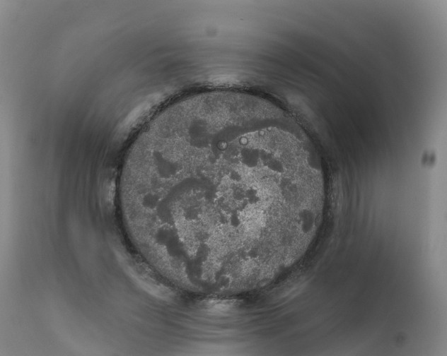 X0000111800495200908131439