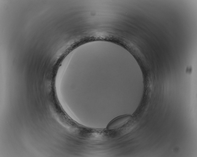 X0000111800496200908131439