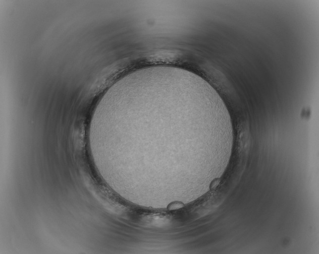 X0000111800498200908131439