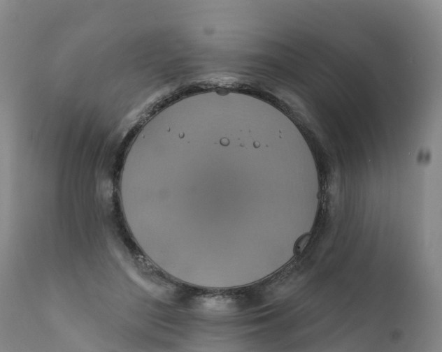 X0000111800500200908131439
