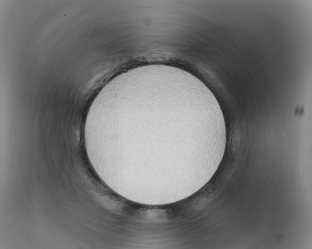 X0000111800501200908131439